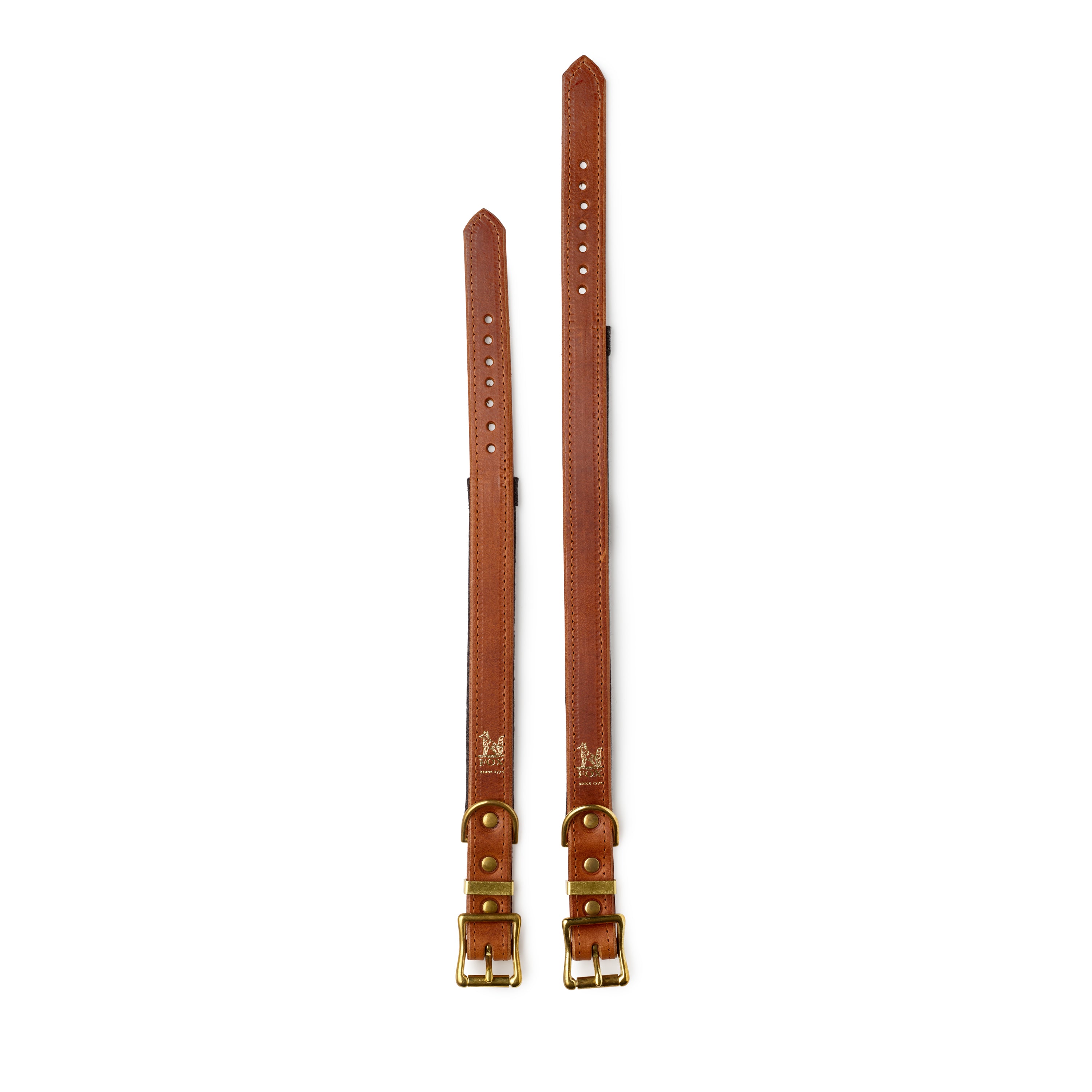 Fox x Storeys & Tails Chestnut Brown Straight Collar
