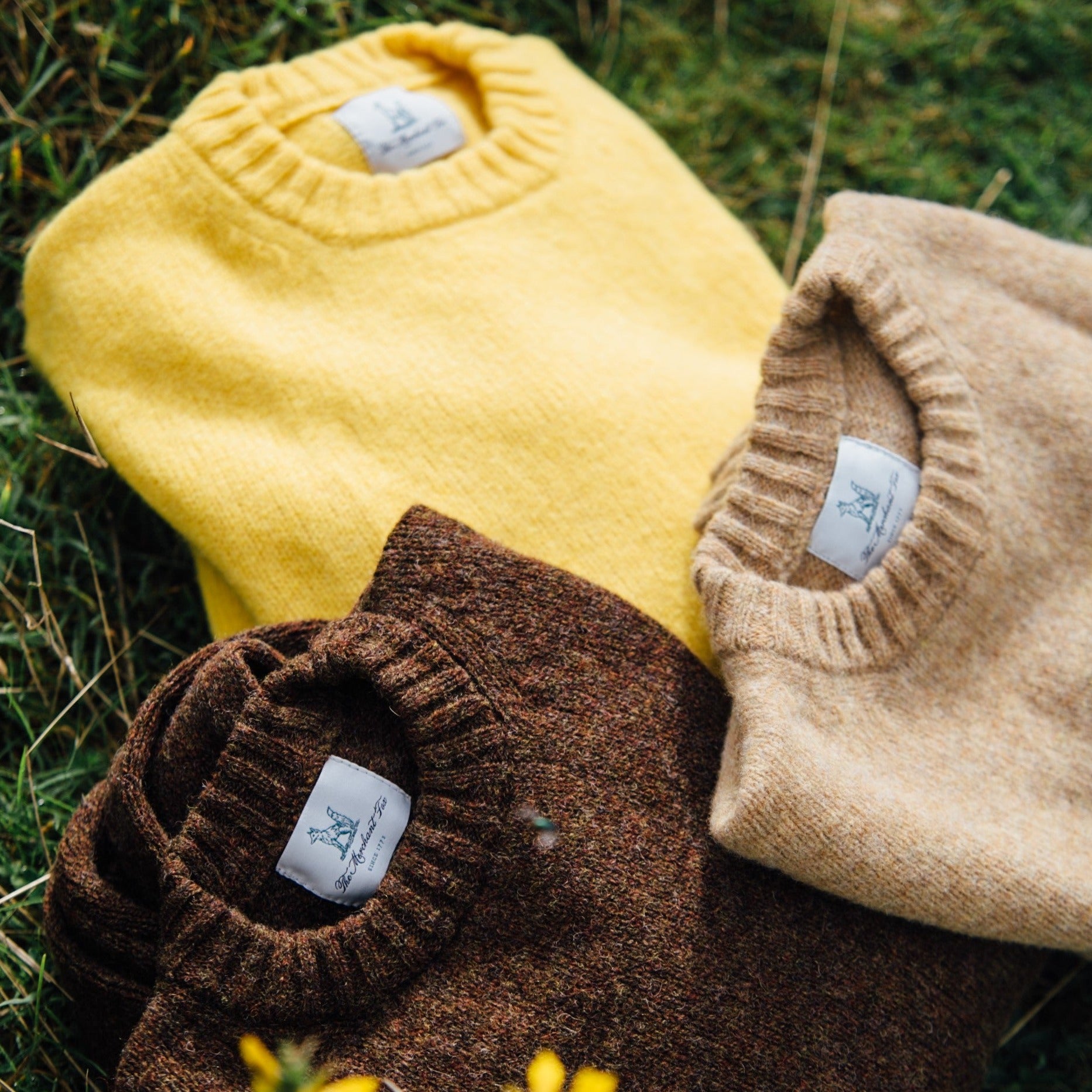 The Gorse Yellow Crew Neck Woollen Sweater